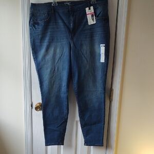 Terra & Sky Women's Dark Blue Skinny Jeans, Size 22W